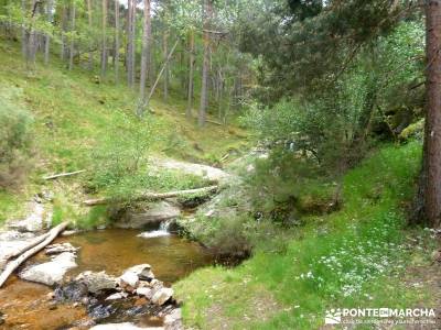 Cerro Perdiguera-Sierra Morcuera-Canencia; viaje organizado a madrid excursiones por madrid y alrede